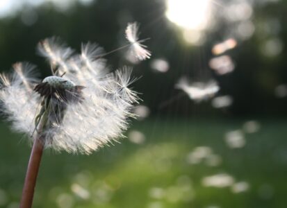 Coachtraject coaching wandelcoaching life coaching veluwe staverden