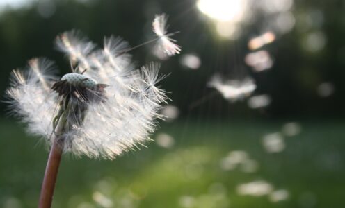 5 mindfulness-oefeningen voor meer rust in je hoofd